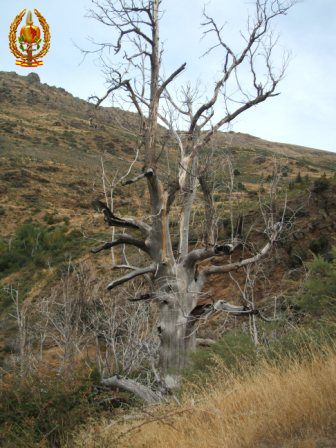 Ruta Sulayr 19-10-2013 17.JPG